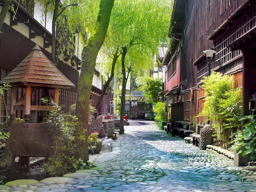 【津島発】豪華絢爛!春の高山祭&郡上八幡城下町&ホテル積翠園で和食ランチ3